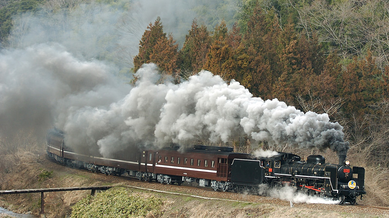 2005.03.19-d206e.jpg