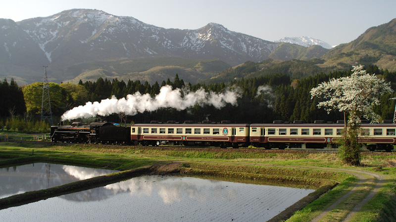 2005.05.03-d1007e.jpg
