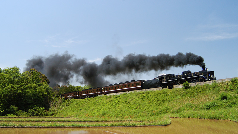 2005.05.29-d1003e.jpg
