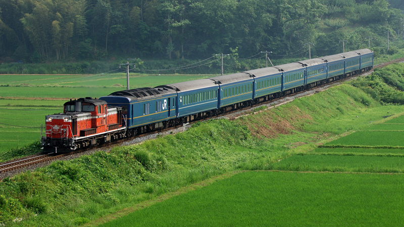 2005.06.24-d3012e.jpg