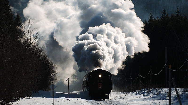 2006.01.22-d2107a.jpg