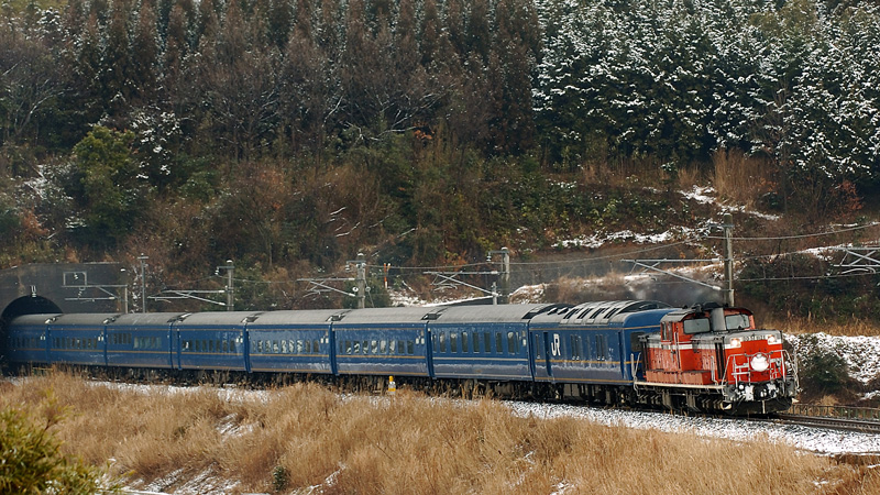 2006.02.12-d2024a.jpg