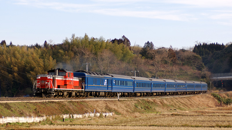 2006.02.19-d3019a.jpg