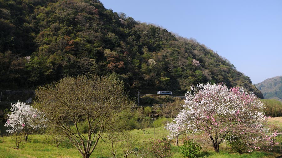 2017.04.16-d6070e.jpg