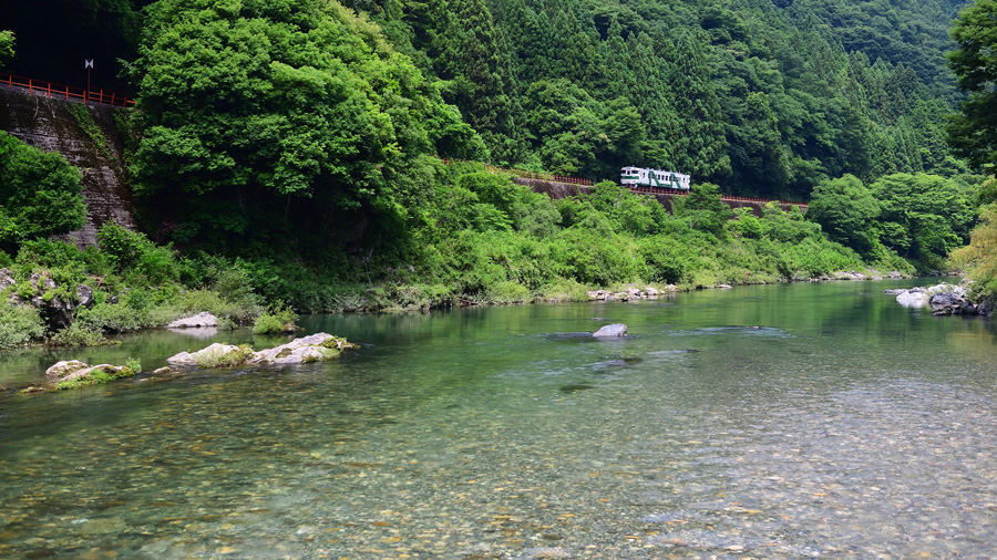2018.06.24-da104e.jpg