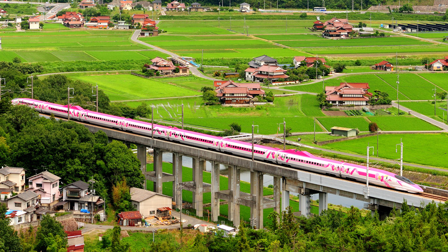 2018.07.01-d6024e.jpg