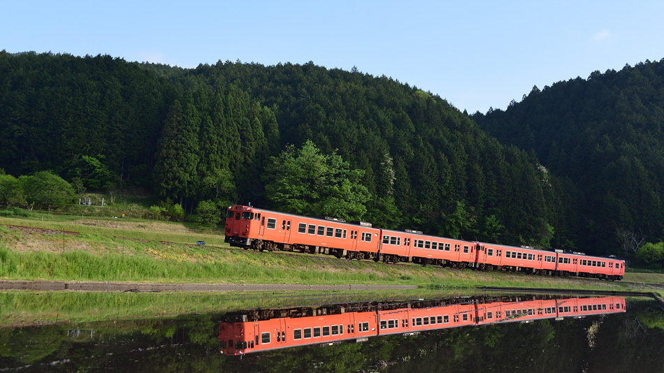 2021.05.08-da065e.jpg