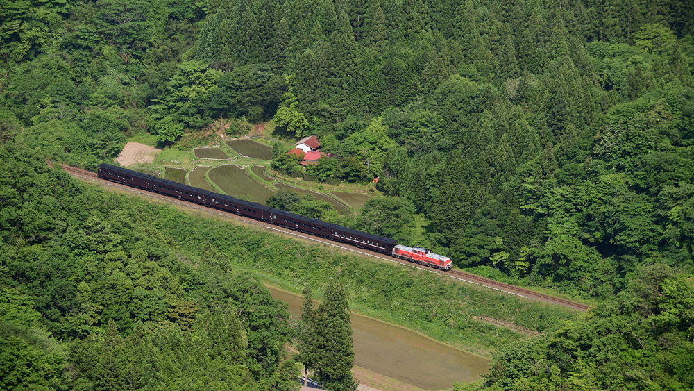 2022.05.22-da287e.jpg
