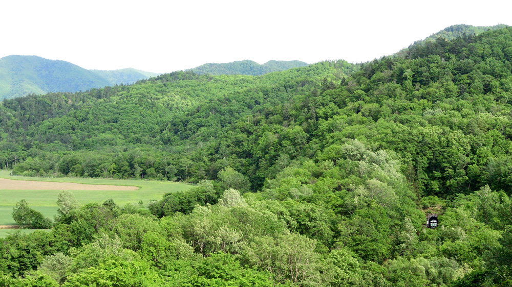 2023.06.12-d9009e.jpg