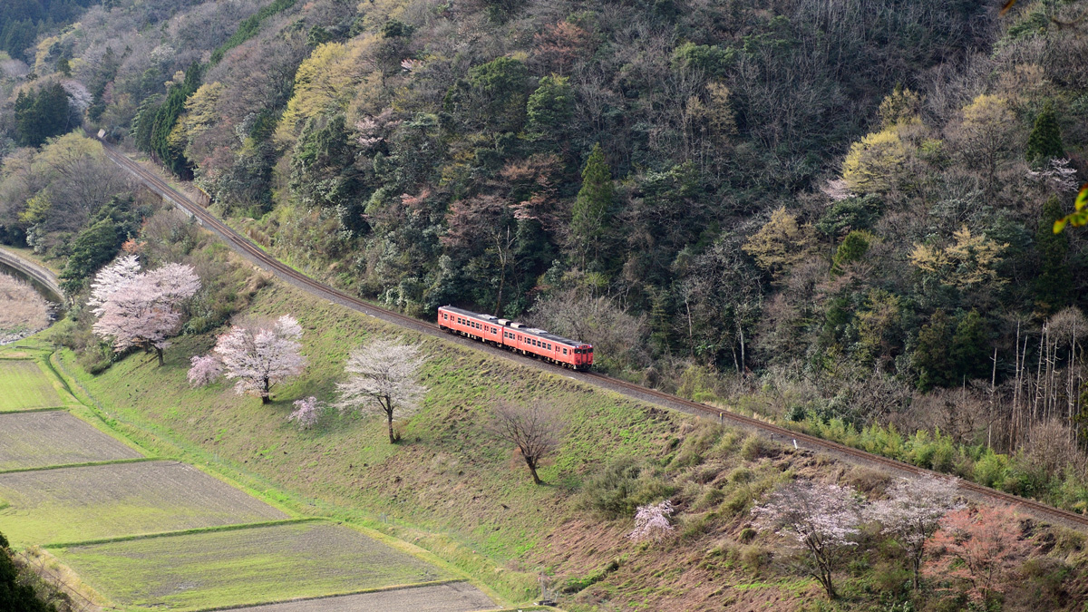 2025.04.08-d6034e.jpg