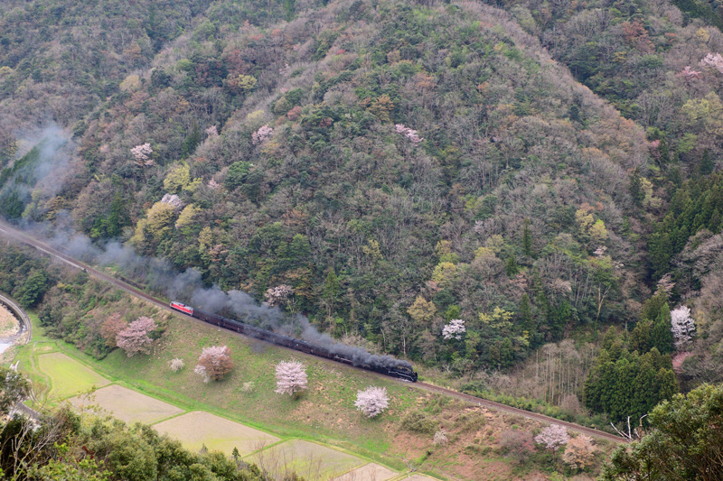 2025.04.12-d6294.jpg