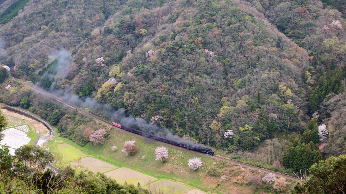 2025.04.12-d6294e.jpg