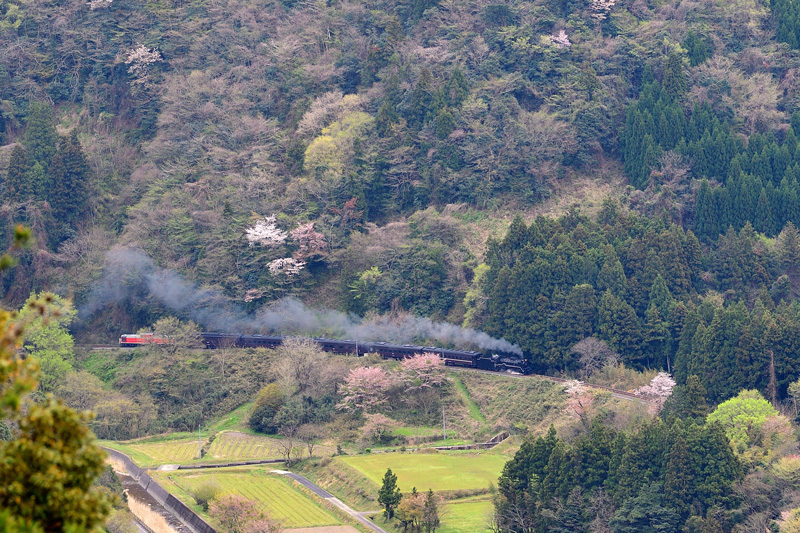 2025.04.12-da553b.jpg