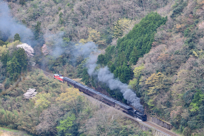 2025.04.12-da575.jpg