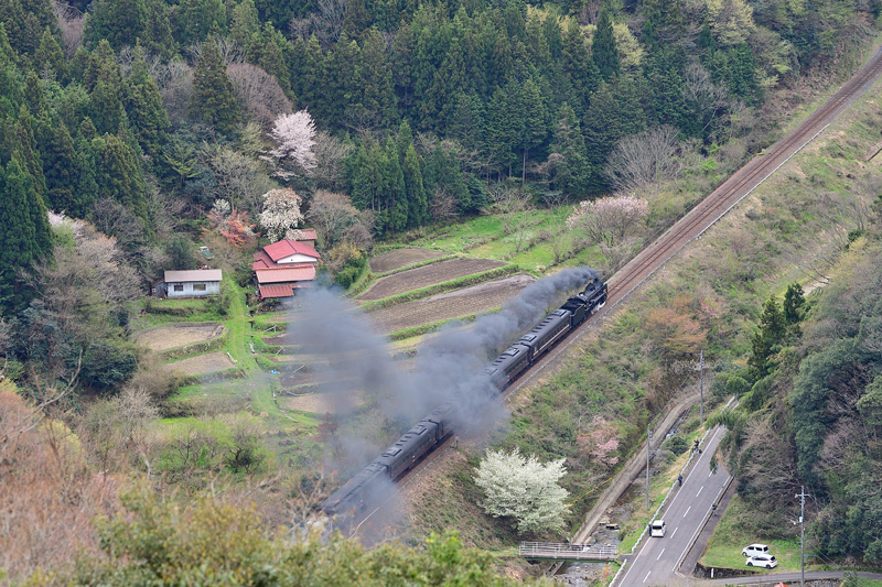 2025.04.12-da787.jpg