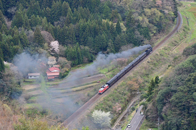 2025.04.12-da842.jpg