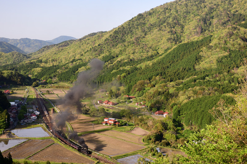 2025.05.04-d6252.jpg