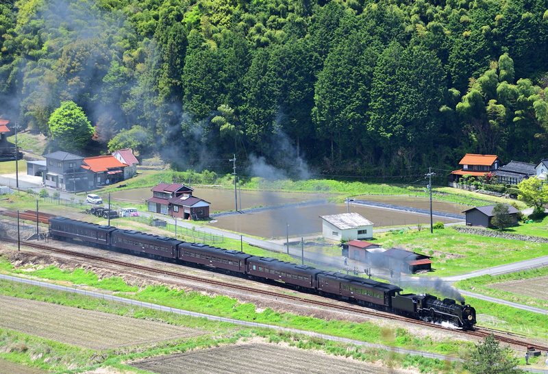 2025.05.04-da397.jpg