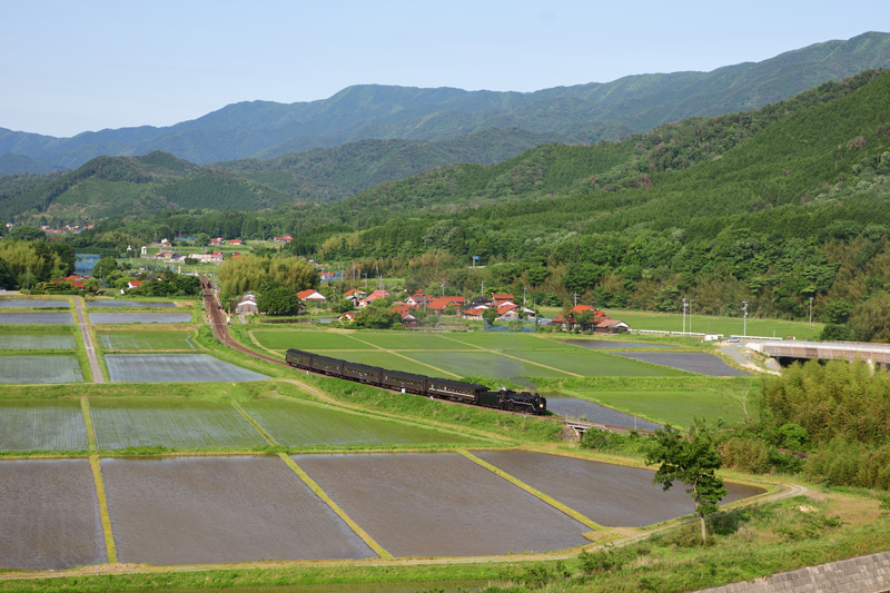 2025.05.31-d6144.jpg