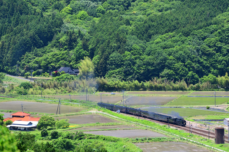 2025.05.31-da019.jpg