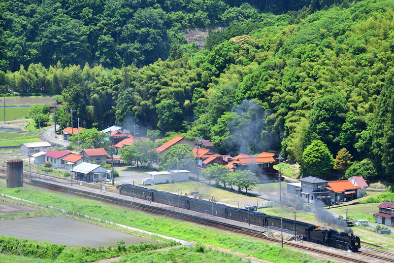 2025.05.31-da035.jpg