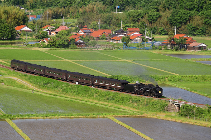 2025.05.31-da361.jpg
