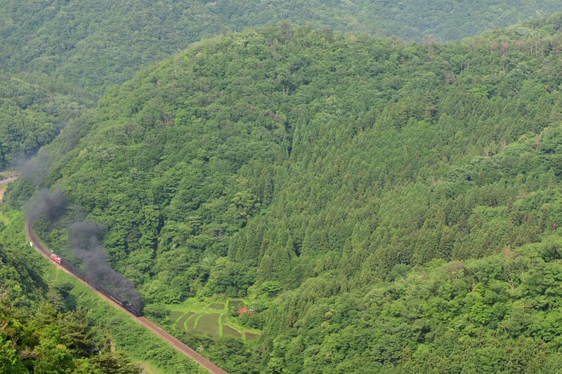 2025.06.07-d6052.jpg