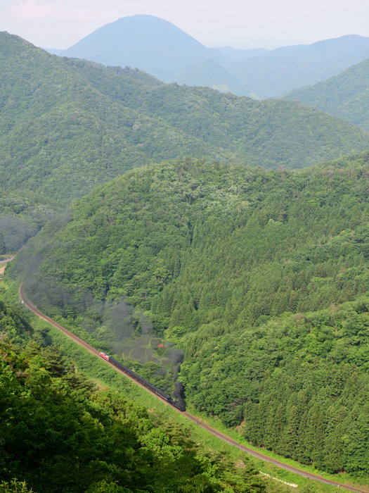 2025.06.07-d6087.jpg