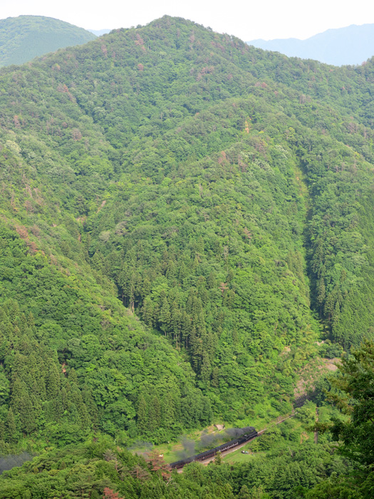 2025.06.07-d6119.jpg