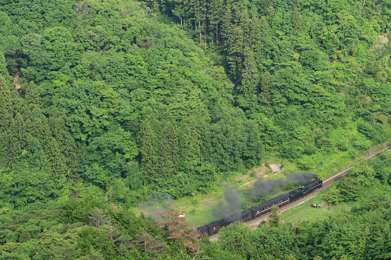 2025.06.07-da336.jpg