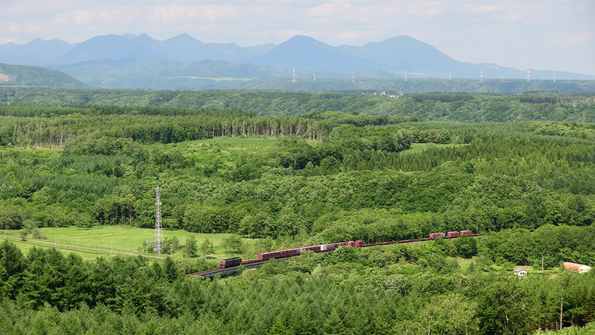 2025.06.24-d6224e.jpg