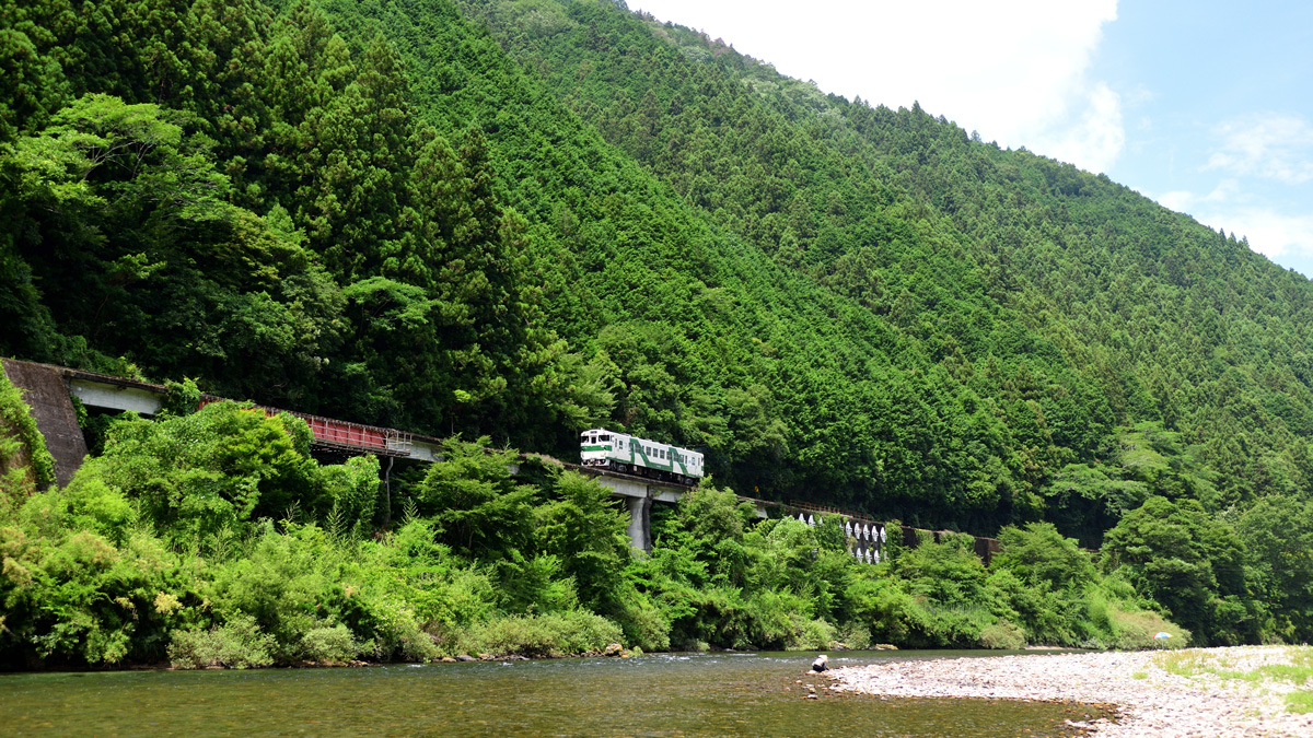 2025.07.12-d6020e.jpg
