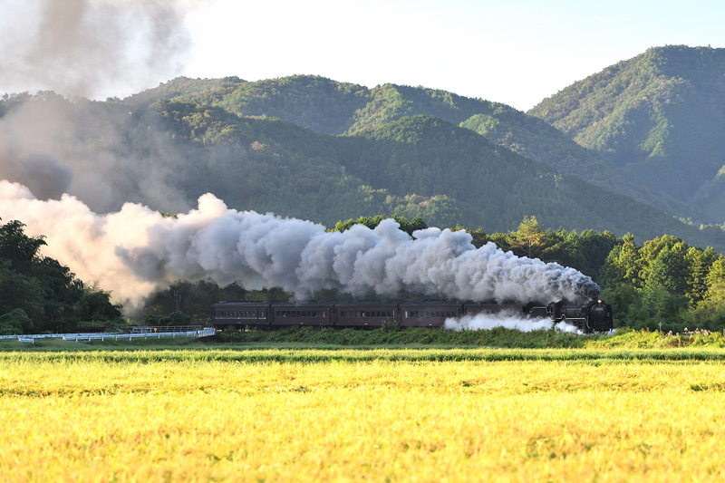 2025.09.22-da057.jpg