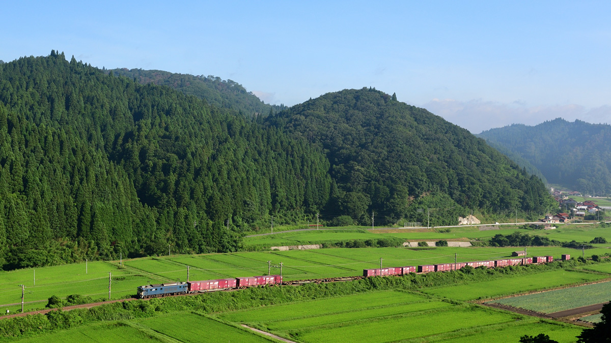 2026.07.14-d6090e.jpg