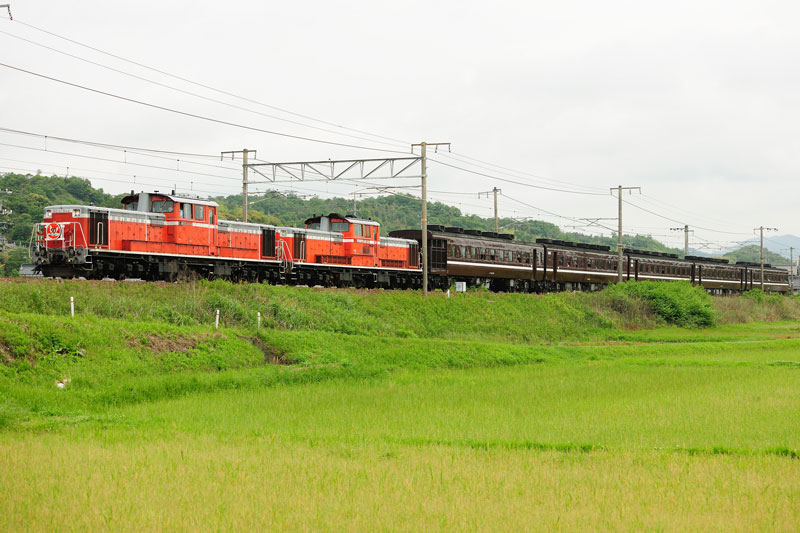 r2011.06.01-d6051a.jpg