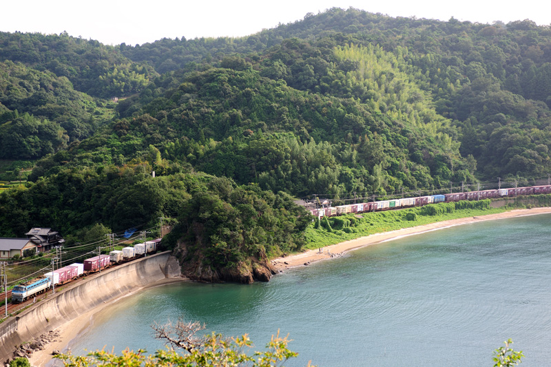 r2011.09.10-d6053.jpg
