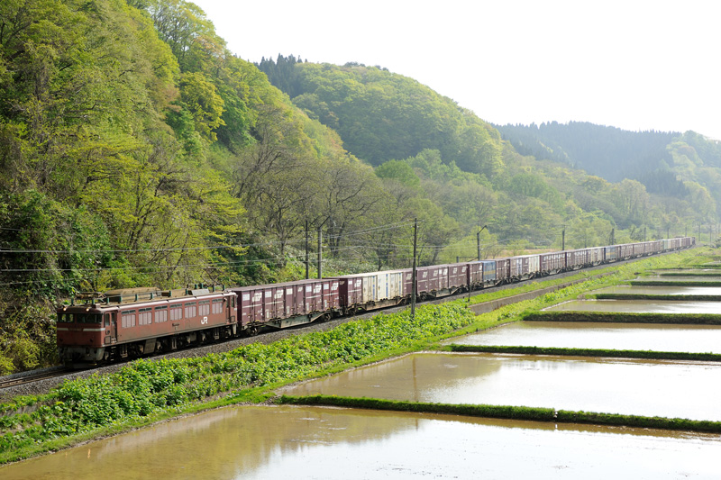 r2012.05.19-d6102.jpg