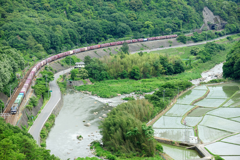 r2012.06.09-d6040.jpg