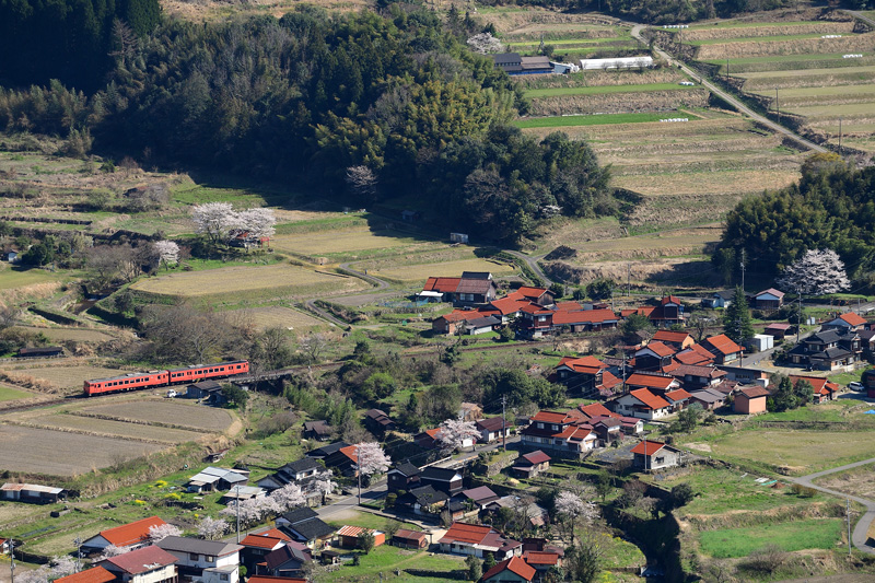 r2025.04.07-da046.jpg