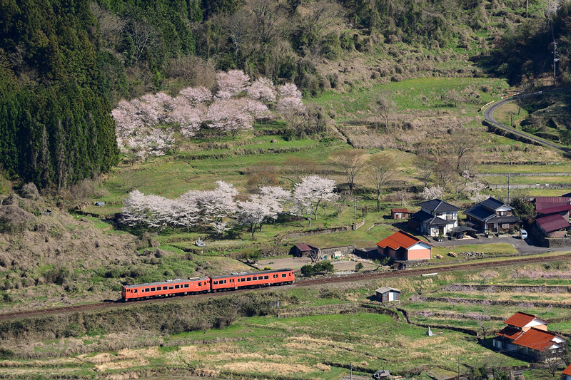 r2025.04.07-da089.jpg
