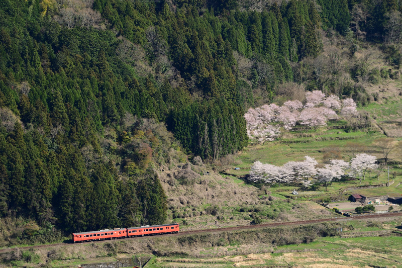 r2025.04.07-da103.jpg