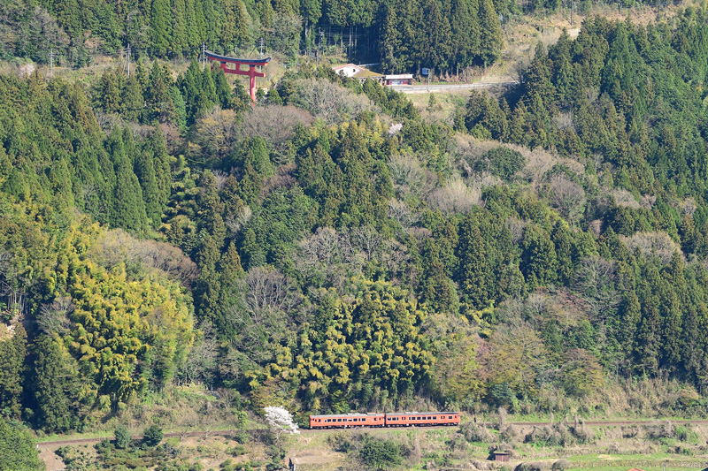 r2025.04.07-da113.jpg