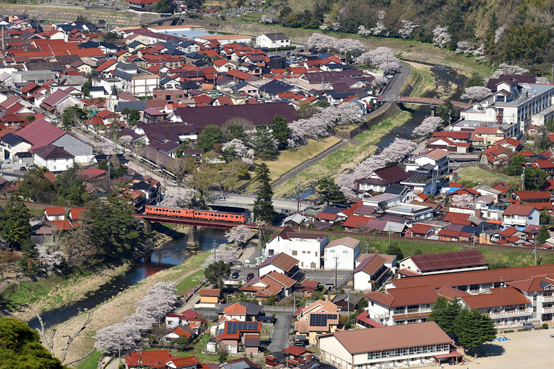 r2025.04.07-da185.jpg