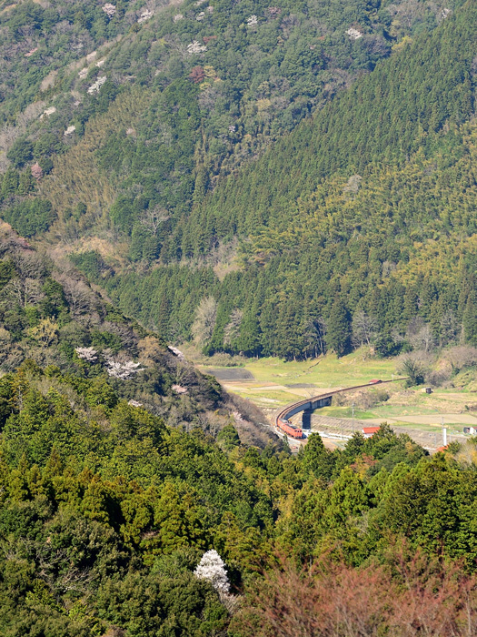 r2025.04.07-da195.jpg