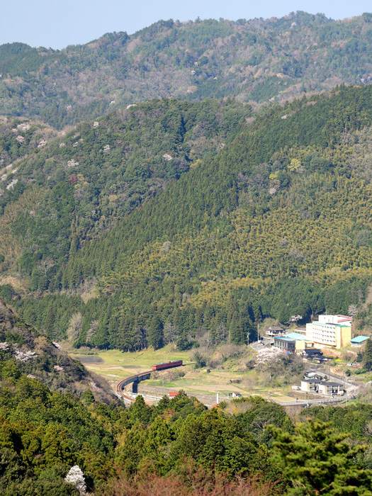 r2025.04.07-da213.jpg