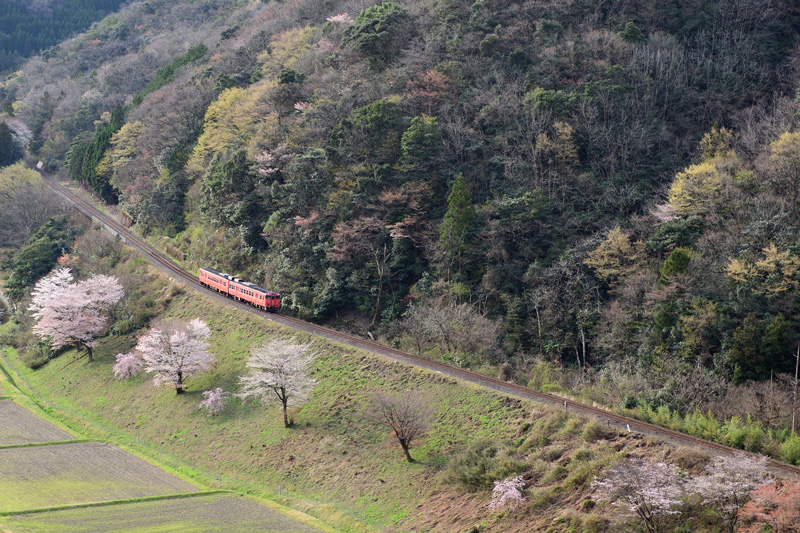 r2025.04.08-d6025a.jpg