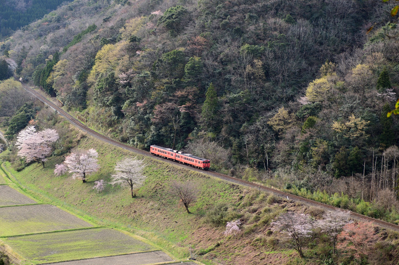 r2025.04.08-d6034.jpg