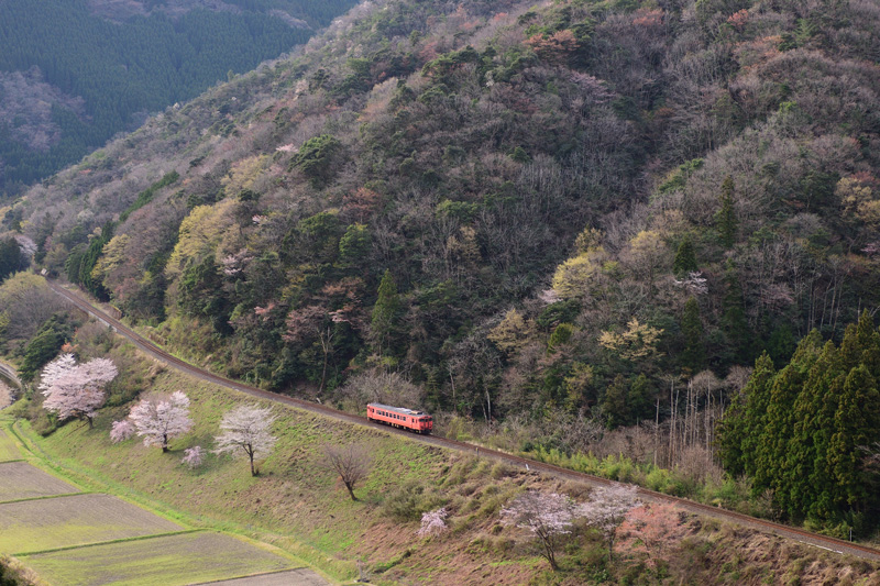 r2025.04.08-d6059.jpg