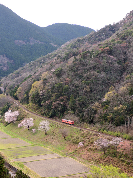 r2025.04.08-d6094.jpg