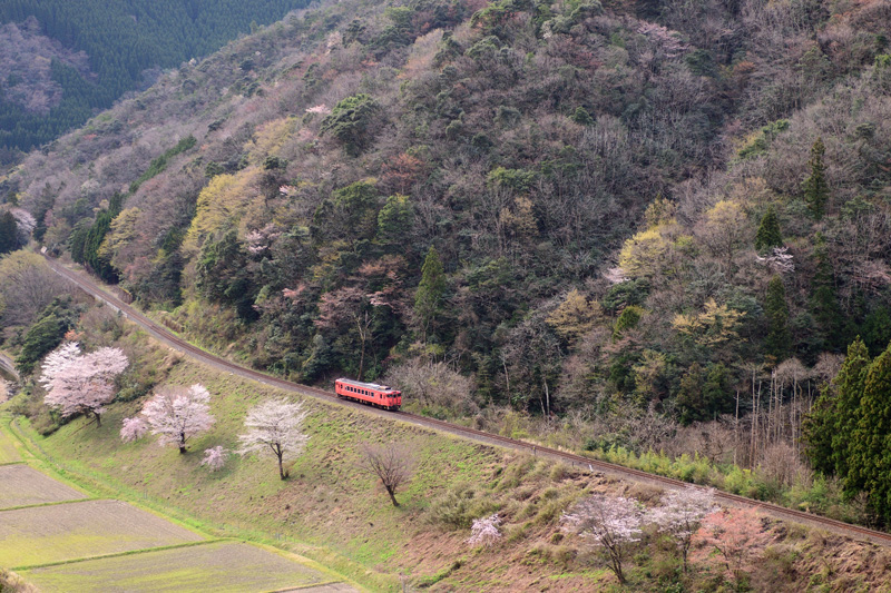 r2025.04.08-d6158.jpg